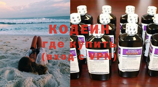 дмт Инта