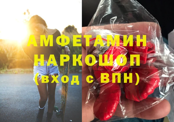 дмт Инта