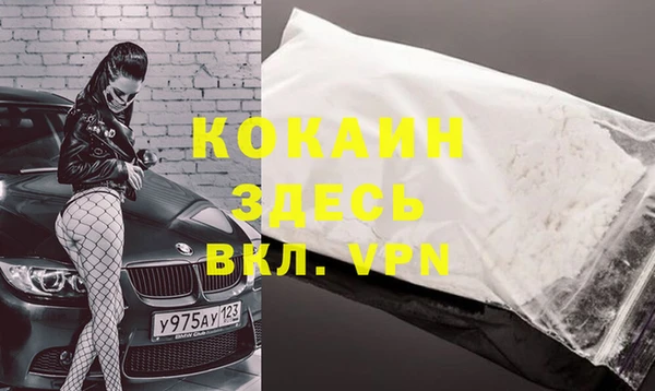 дмт Инта