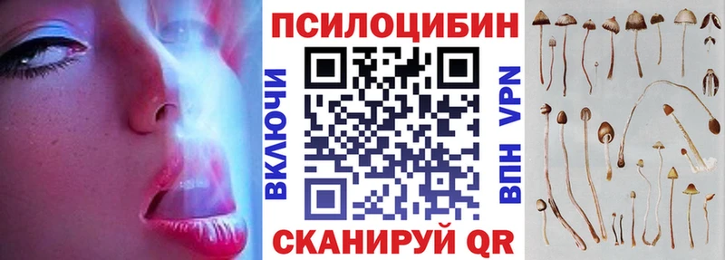 Купить закладки  Нарьян-Мар  Псилоцибиновые грибы Psilocybe 